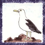 Seabird 13