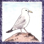 Seabird 4