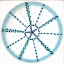 Diatom 11