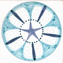 Diatom 14