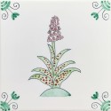16 Spotted Orchid